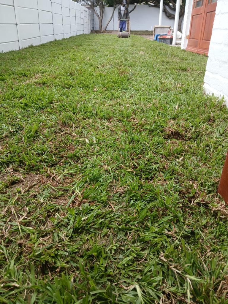 After LM Berea installation Claremont